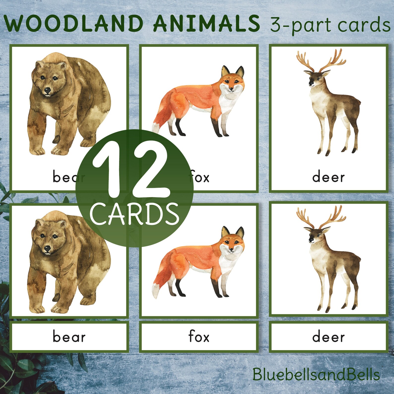Woodland Animals Montessori 3 Part Cards. Preschool Vocabulary Etsy