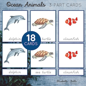 Cartões de 3 partes para impressão Montessori do Oceano. Cartões de vocabulário pré-escolar. Jogo de correspondência de animais do oceano para o jardim de infância.