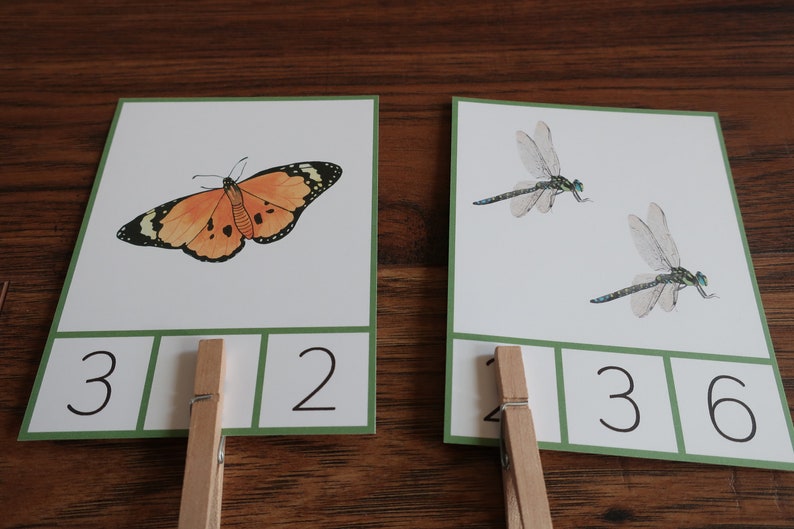 Insect Count and Clip Cards 1-10. Montessori Summer Math Printable ...