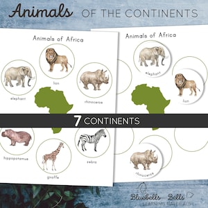 Tiere der Kontinente Poster und Sortieraktivität. Montessori Geographie-Spiel für Vorschul- und Kindergartenkinder.