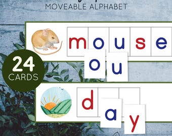 Montessori moveable alphabet Green Series Phonogram cards for letter matching.