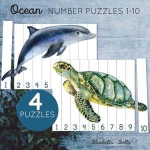 Può includere: Puzzle numerici a tema oceano da 1 a 10. I puzzle presentano un delfino e una tartaruga marina, ciascuno diviso in sezioni numerate. Il set include quattro puzzle, con la scritta "4 PUZZLES" in un cerchio blu. Materiali didattici.