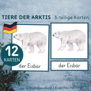 Tier in der Arktis Montessori 3-teilige Karten. Lernkarten für Kindergarten e Vorschule.