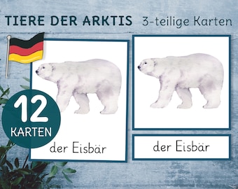 Tier in der Arktis Montessori 3-teilige Karten. Lernkarten für Kindergarten und Vorschule.