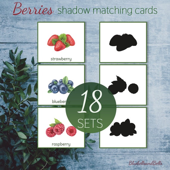 Berries flashcards and shadow matching cards. Preschool summer activity. Berries identification printable.