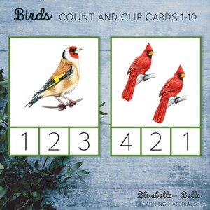 Birds Count and Clip Cards 1-10. Spring Montessori Printable. Preschool ...