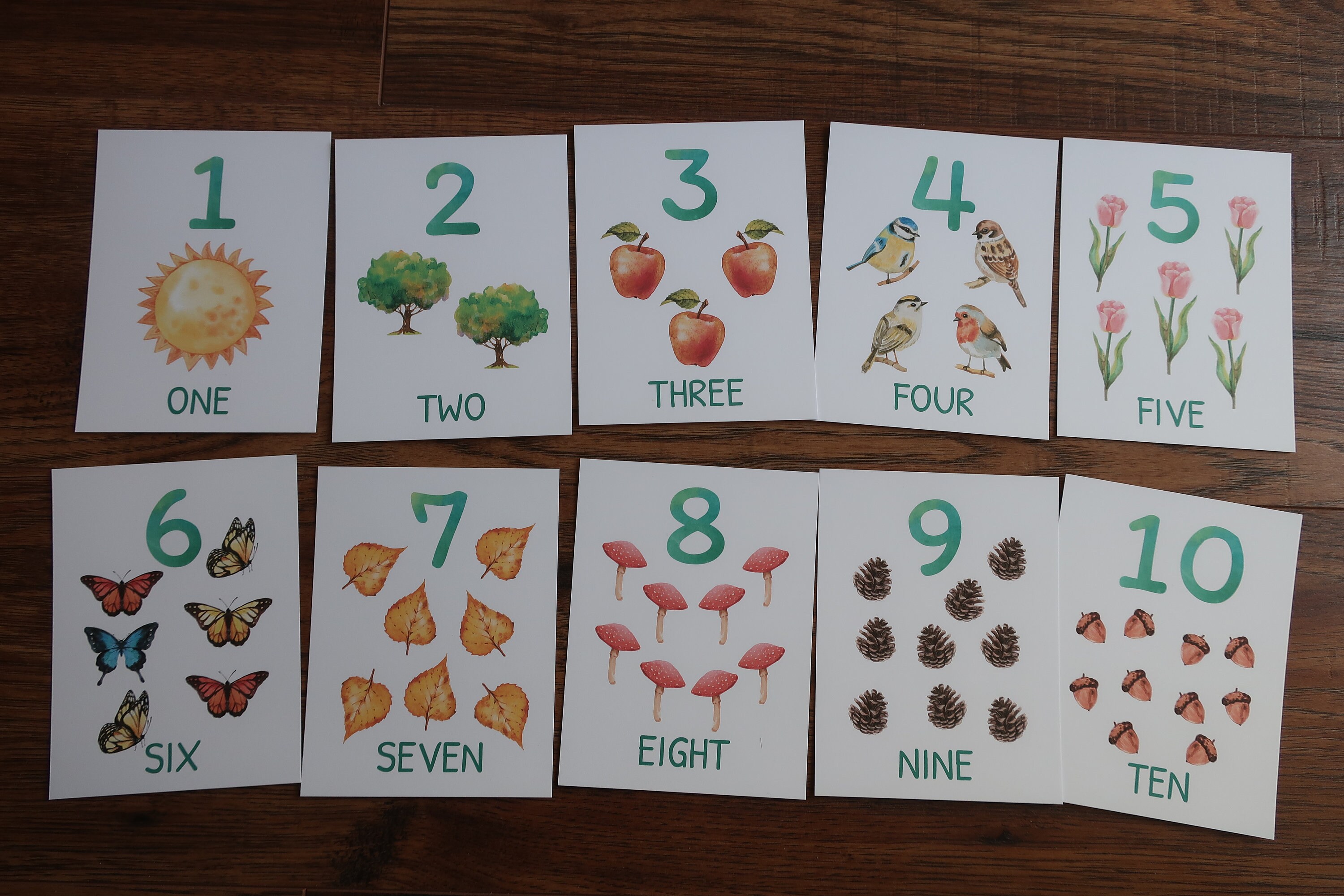 Nature Number Cards 1 10 Counting Cards Toddler Printable Etsy