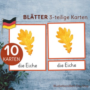 Montessori Herbst Kindergarten Baumblätter 3-teilige Karten. Grundschule und Vorschule druckbare Sprachmaterialen.