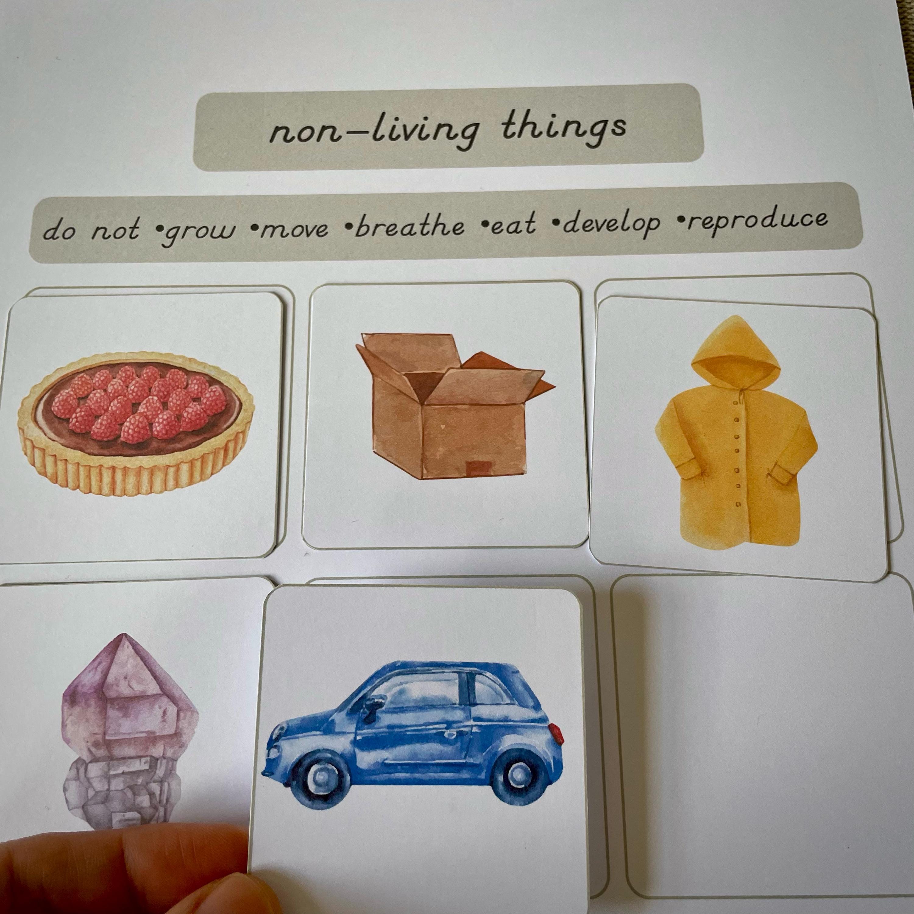 Living and Non-living Things Charts and Worksheets Sorting Activity ...