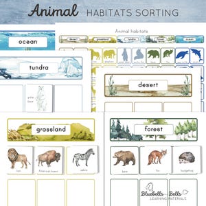 Sorteeractiviteit en grafiek van dierenhabitats. Montessori-kleuter- en kleuterschool afdrukbaar.