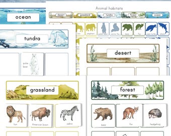 May include: A printable educational activity for kids to learn about animal habitats. The worksheet features colorful illustrations of animals and their habitats, including ocean, tundra, grassland, desert, and forest. The words 'Animal Habitats Sorting' are at the top of the page.
