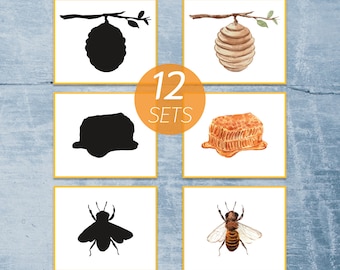 Tarjetas a juego con sombras de abejas melíferas. Actividad de insectos preescolares. Imprimible de primavera Montessori.