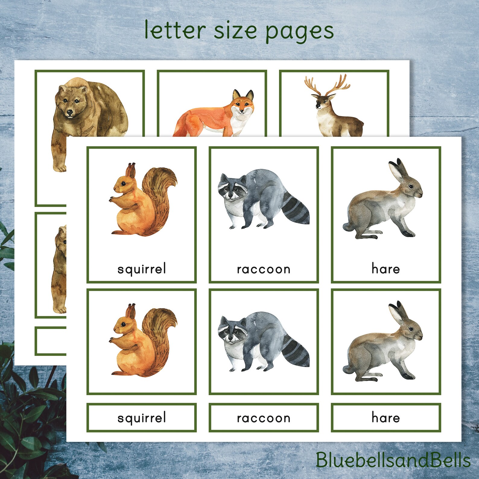 Woodland Animals Montessori 3 Part Cards. Preschool Vocabulary Etsy
