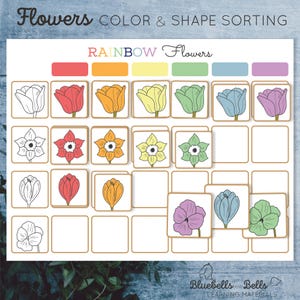 Color sorting Flower printable. Montessori matching activity.