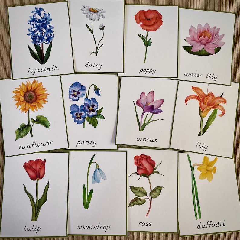 Flower Identification Printable Cards. Montessori Spring Printable ...
