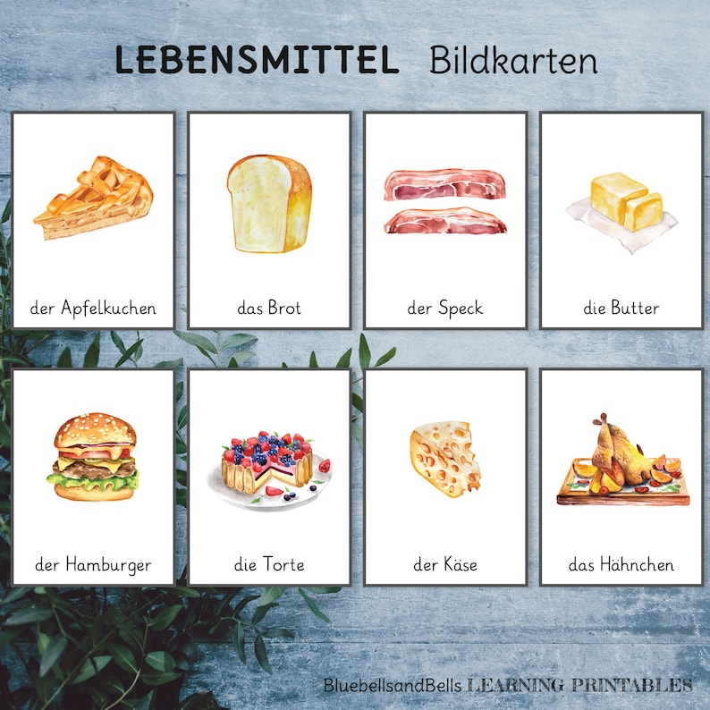 Lebensmittel Bildkarten. Wortschatz Deutsche Sprache Lernkarten. - Etsy