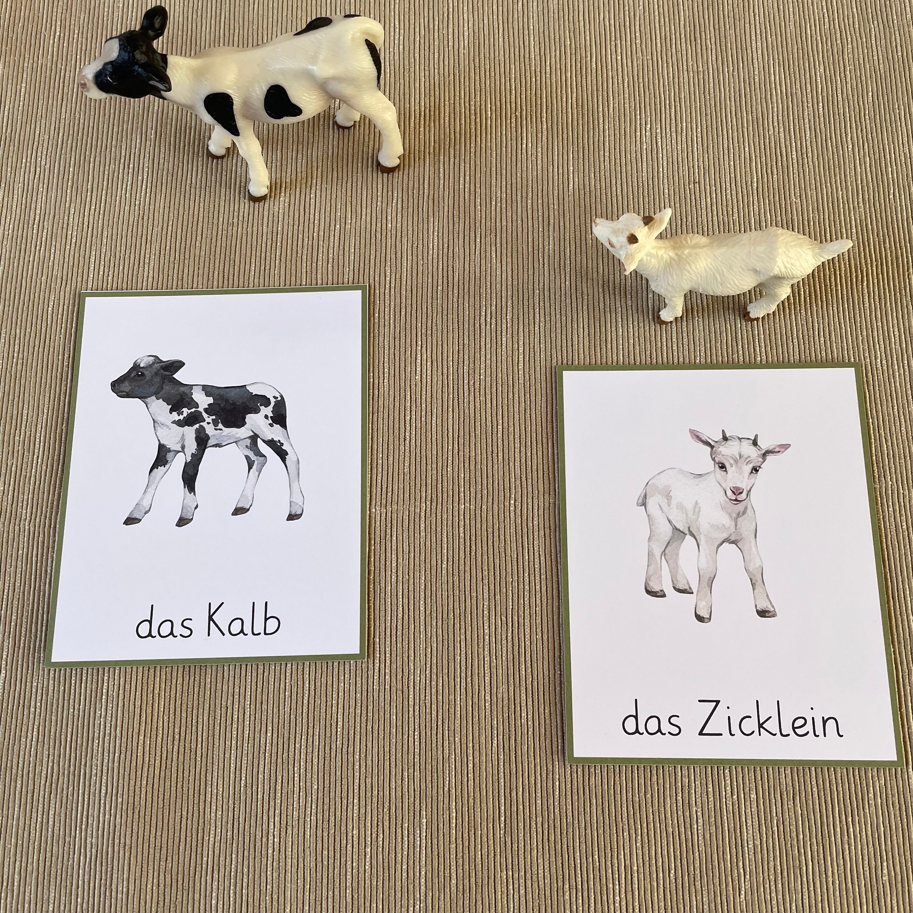 Bauernhoftiere Bildkarten. Lernkarten Deutsche Sprache Für Kleinkinder