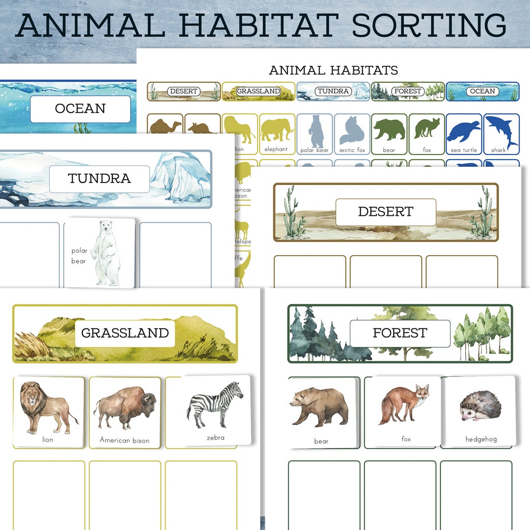 Animal Habitats Sorting Activity and Chart. Montessori Preschool and