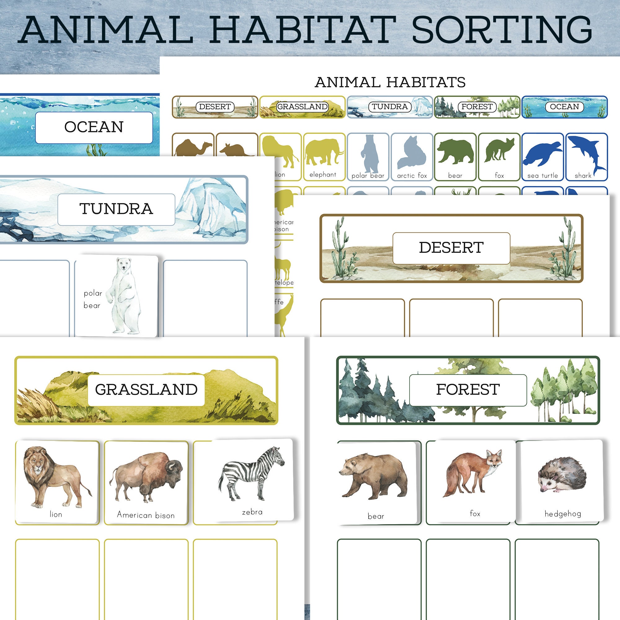 Animal Habitats Sorting Activity and Chart. Montessori - Etsy Animal Habitats Sorting Activity and Chart. Montessori - Etsy