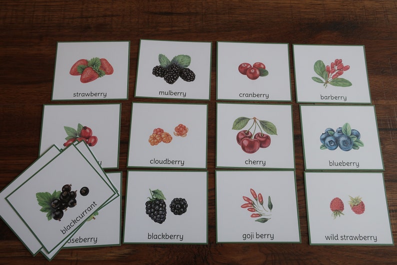 K&ouml;nnte beinhalten: Ein Satz von 12 illustrierten Karten mit verschiedenen Beerensorten. Jede Karte zeigt eine farbenfrohe Illustration einer Beere und ihren Namen darunter. Die Beeren umfassen Erdbeere, Maulbeere, Cranberry, Berberitze, Moltebeere, Kirsche, Blaubeere, schwarze Johannisbeere, Brombeere, Goji-Beere und wilde Erdbeere.