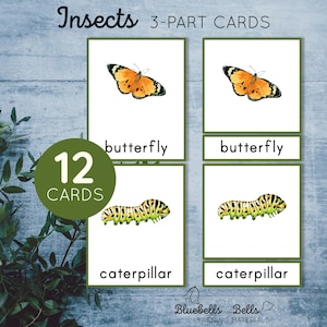 Tarjetas Montessori imprimibles de insectos (3 partes). Actividad de vocabulario para preescolar y jardín de infantes.