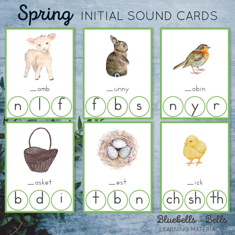 Spring Montessori Printable Phonics Clip Cards. Beginning Sound ...