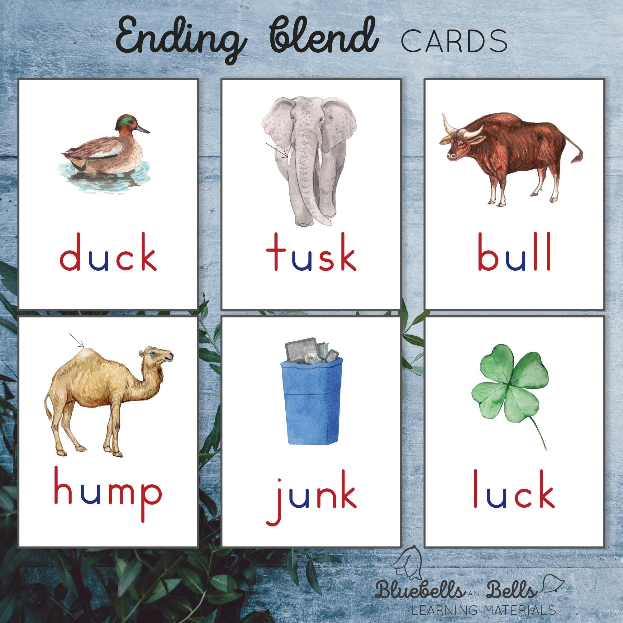 Blends Cards. CVCC Words Printable. - Etsy