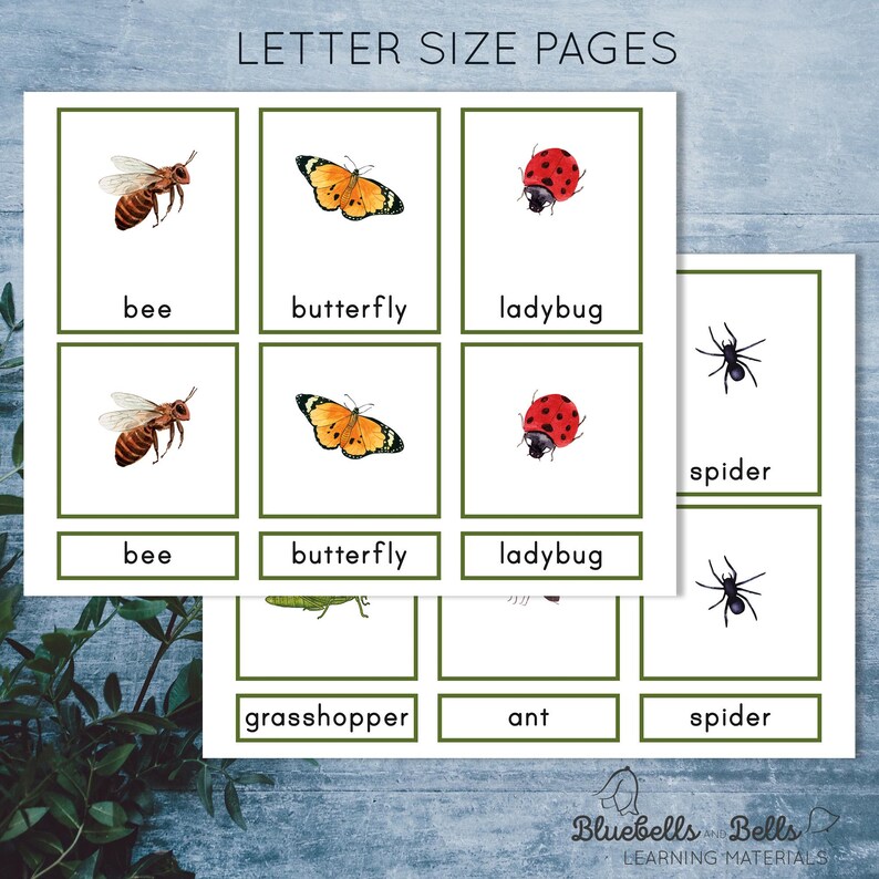 Insect Montessori Printable 3-part Cards. Preschool and Kindergarten ...