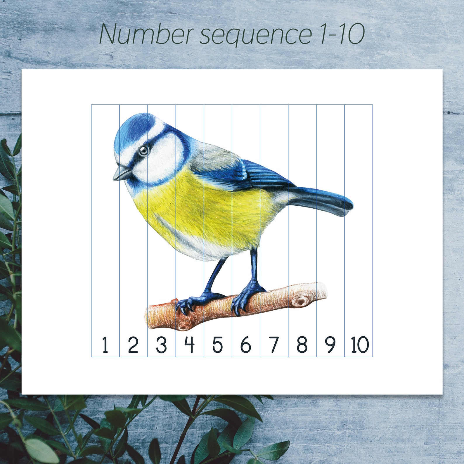 bird preschool printable number sequence puzzles 1 10 etsy