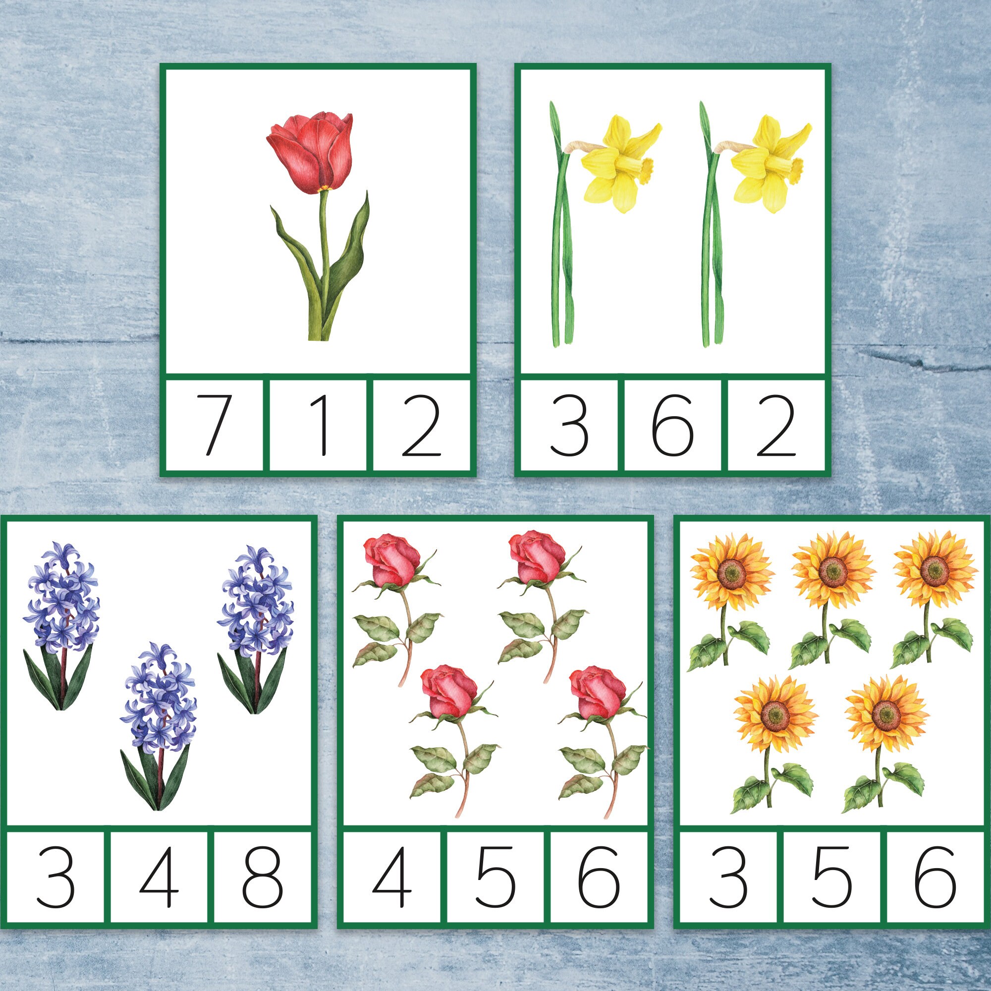 Flower Preschool Printable Count and Clip Cards 110. Etsy