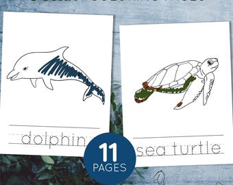 Ocean animals coloring pages