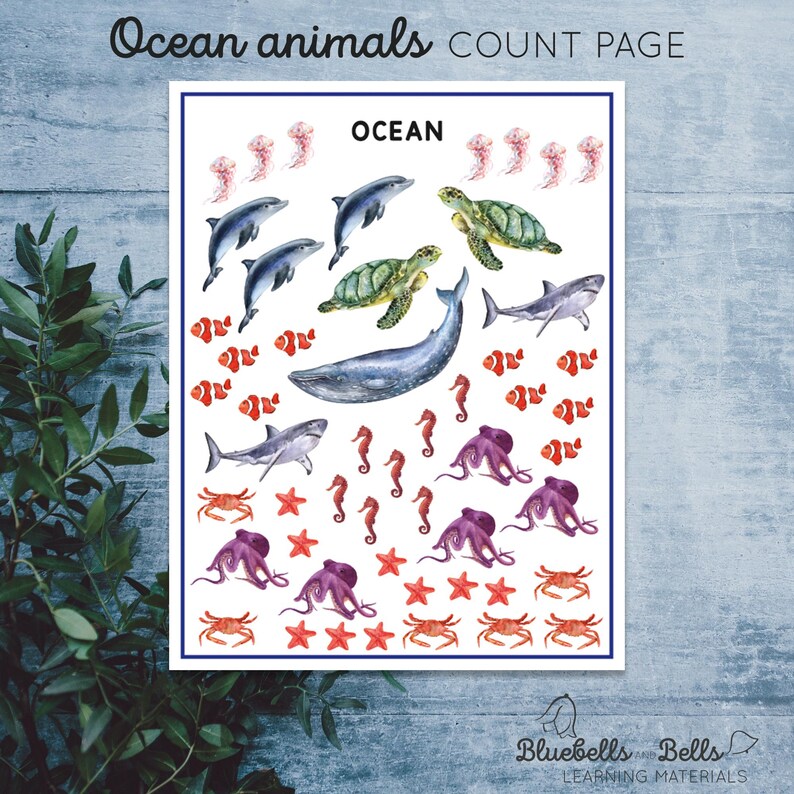 May include: A printable ocean animal counting page with colorful illustrations of sea creatures, including dolphins, sea turtles, whales, sharks, seahorses, octopuses, clownfish, crabs, and starfish. The page is titled "Ocean" and is perfect for preschoolers and kindergarteners to practice counting and number recognition.