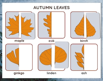 Montessori puzzle fall leaves. Toddler matching halves symmetry activity.