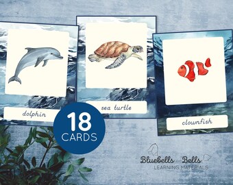 Printable ocean animals flashcards for toddlers and preschoolers.