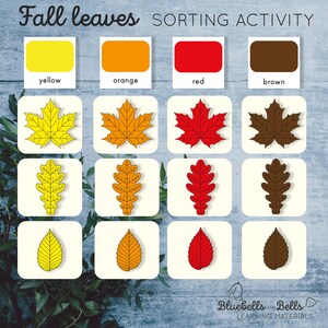 Color sorting Fall Leaves activity for preschool. Shape sorting printable.