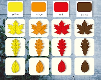 Color sorting Fall Leaves activity for preschool. Shape sorting printable.