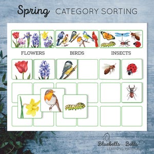 May include: A printable spring-themed category sorting activity for kids. The worksheet features colorful illustrations of flowers, birds, and insects. The categories are labeled "Flowers", "Birds", and "Insects".