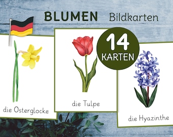 Blumen Bildkarten. Wortschatz Kindergarten und Vorschule druckbare Lernkarten.