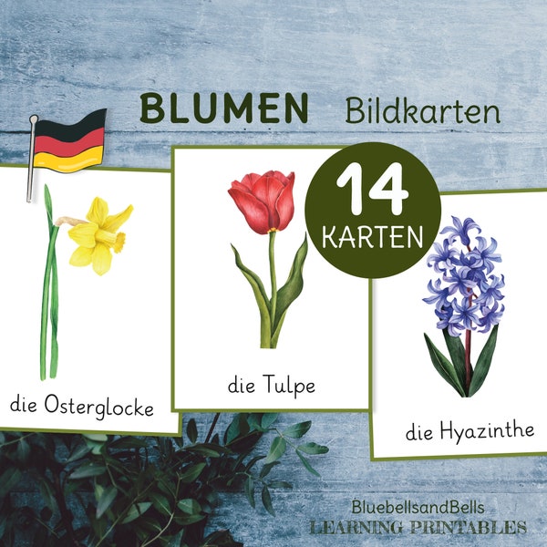 Blumen Bildkarten. Wortschatz Kindergarten und Vorschule druckbare Lernkarten.