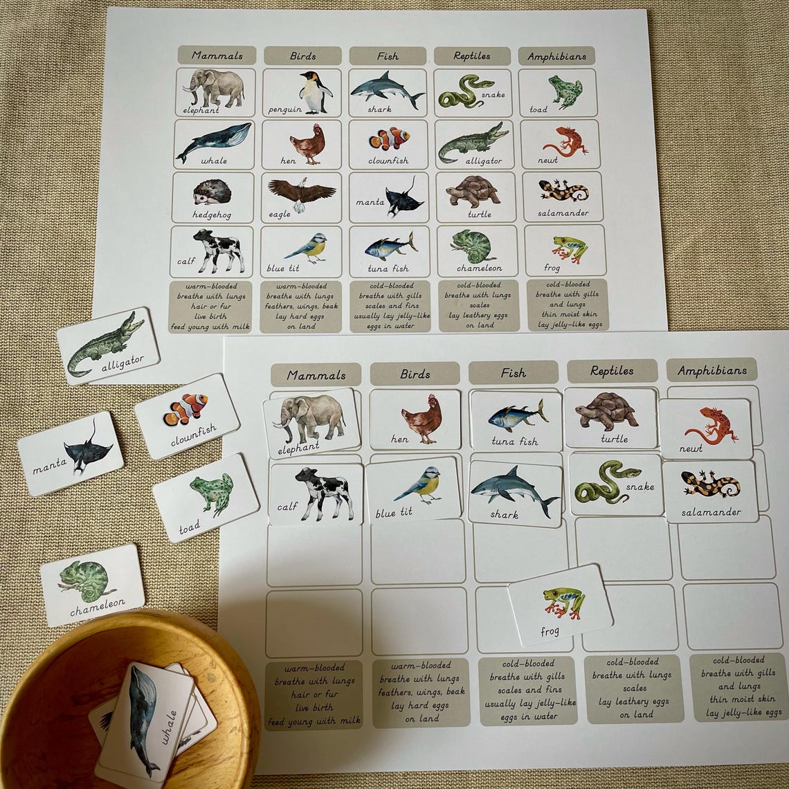 Vertebrates Sort Classification of Animals Vertebrates. Chart and Worksheet for Sorting ...
