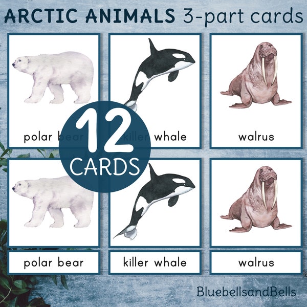 Arctic Animals 3 part cards. Montessori winter printable vocabulary activity for preschool and kindergarten.