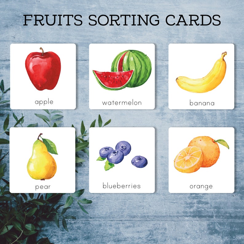 Fruit and Vegetable Sorting Activity for Toddlers. Preschool Category ...
