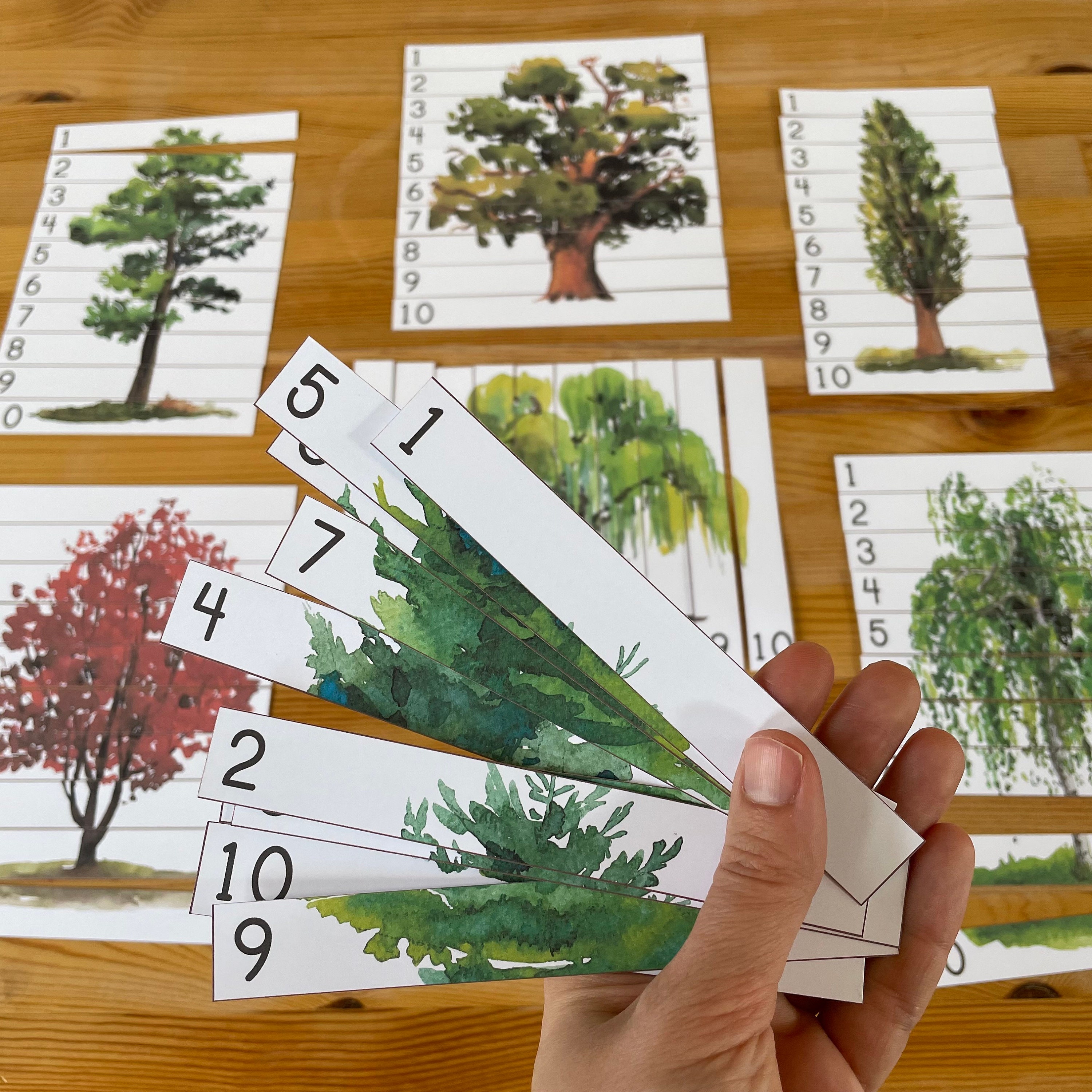 Trees Preschool Printable Puzzle Number Sequence 1-10. Kindergarten ...
