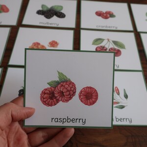 K&ouml;nnte beinhalten: Eine Karte mit gr&uuml;nem Rand. Die Karte zeigt eine Aquarell-Illustration von drei roten Himbeeren mit gr&uuml;nen Bl&auml;ttern. Der Text "Himbeere" ist unter der Illustration gedruckt.