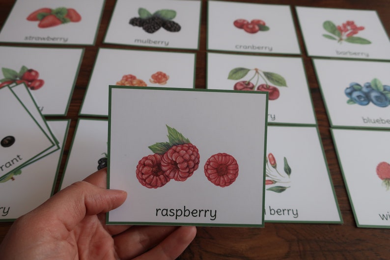 K&ouml;nnte beinhalten: Eine Karte mit gr&uuml;nem Rand. Die Karte zeigt eine Aquarell-Illustration von drei roten Himbeeren mit gr&uuml;nen Bl&auml;ttern. Der Text "Himbeere" ist unter der Illustration gedruckt.