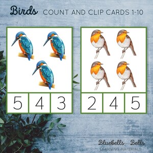 Birds Count and Clip Cards 1-10. Spring Montessori Printable. Preschool ...