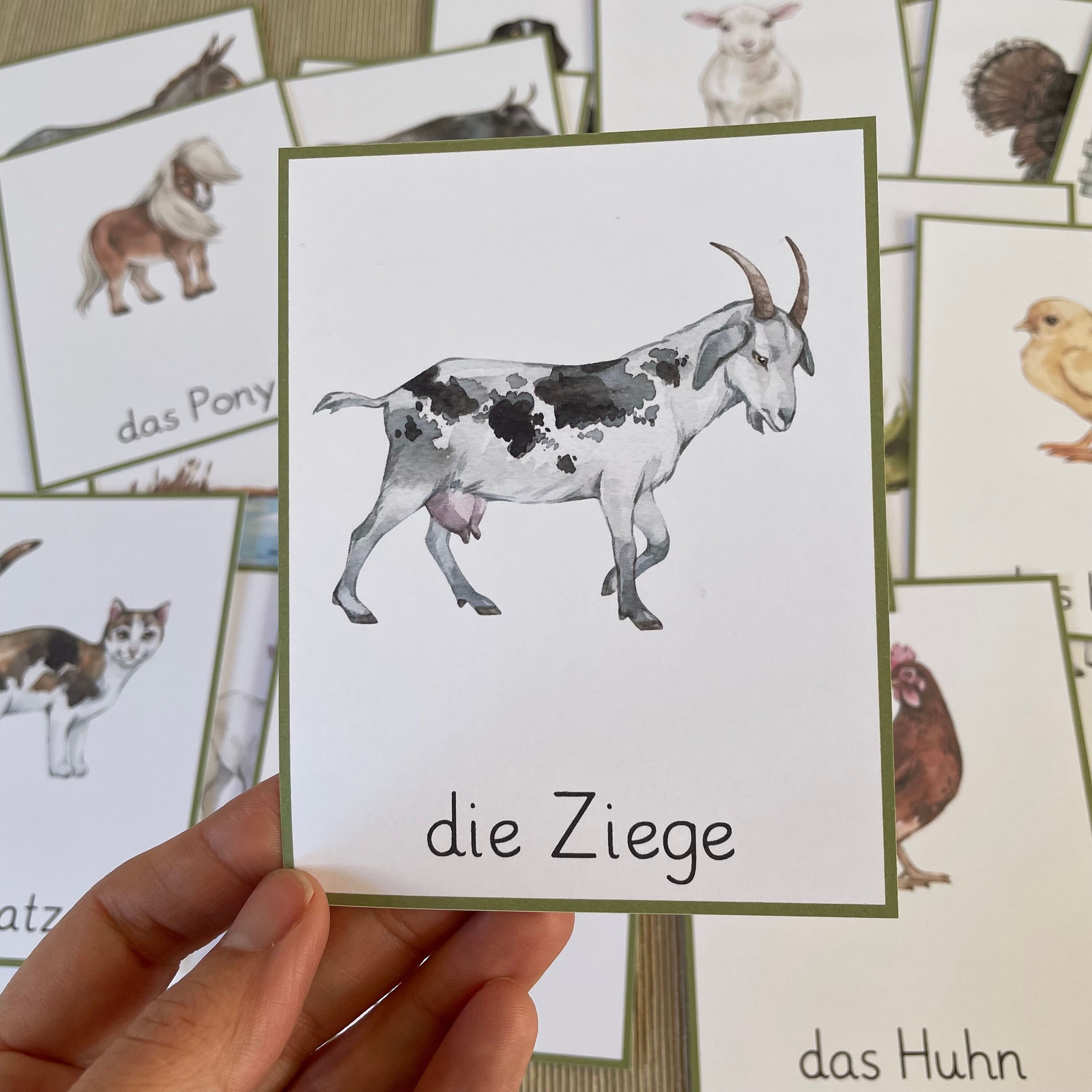 Bauernhoftiere Bildkarten. Lernkarten Deutsche Sprache Für Kleinkinder