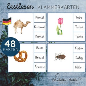 Erste Wörter Bildkarten. Montessori lesen Klammerkarten.
