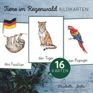 Tiere im Regenwald Bildkarten. Lernkarten Montessori pour la petite enfance et la maternelle.