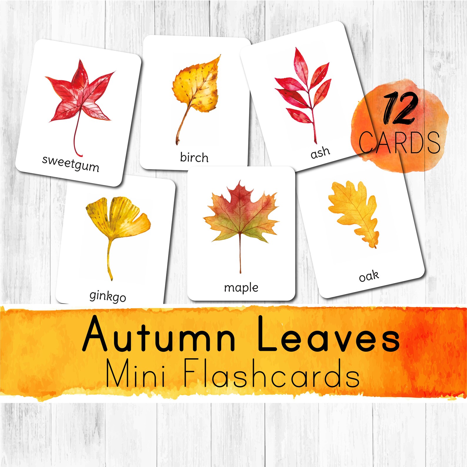 autumn-leaves-mini-flashcards-fall-toddler-printable-etsy